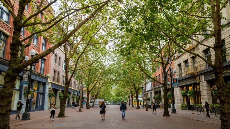 Tree-lined street in Pioneer Square