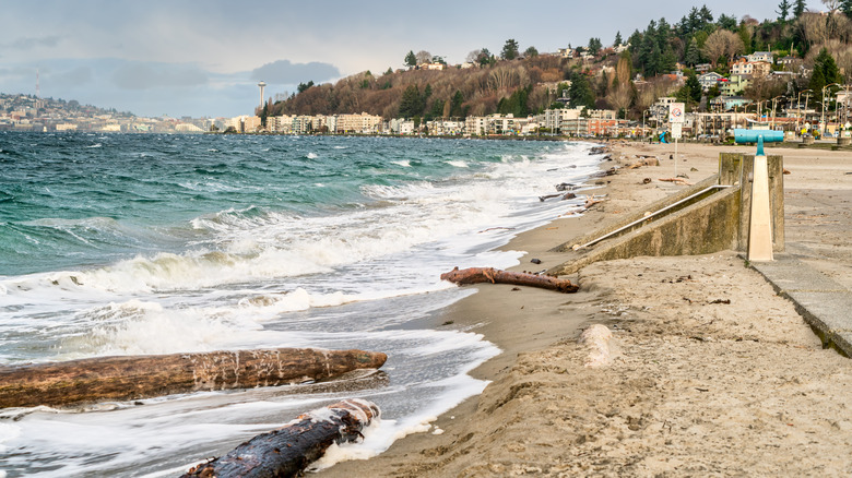 Beach in West Seattle
