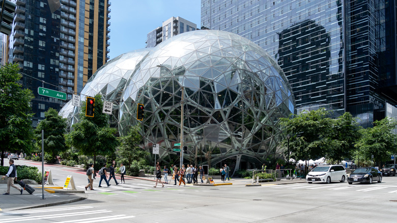 Seattle Spheres above Deep Dive