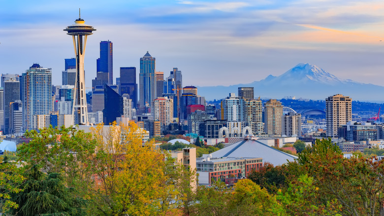 View with trees, the skyline, and a mountain in the distance in Seattle, Washington