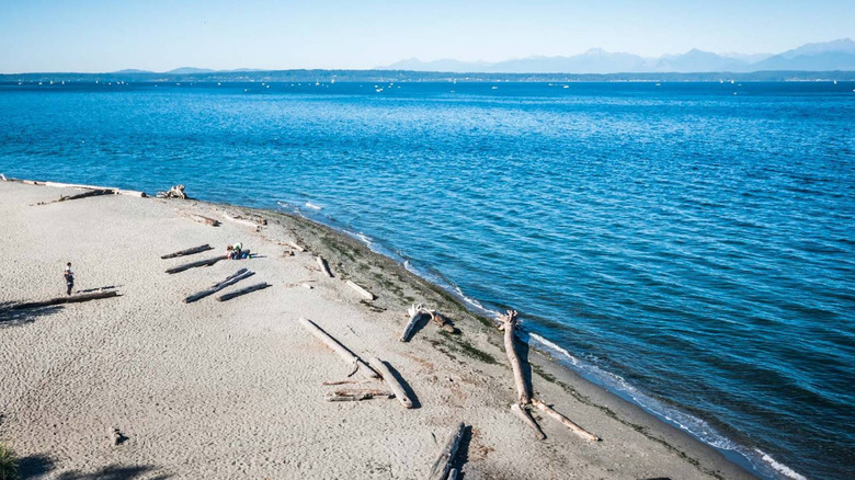 A view of Carkeek Park beach with driftwood on the sand and the mountains in the distance