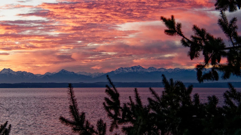 A stunning colorful sunset over the water looking out to snow-capped mountains across the sound as seen from Carkeek Park