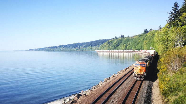 A train runs along a track between a body of water and a forest on a sunny day in Carkeek Park, Seattle