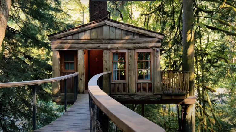 View of treehouse cabin in the woods at Treehouse Point resort.