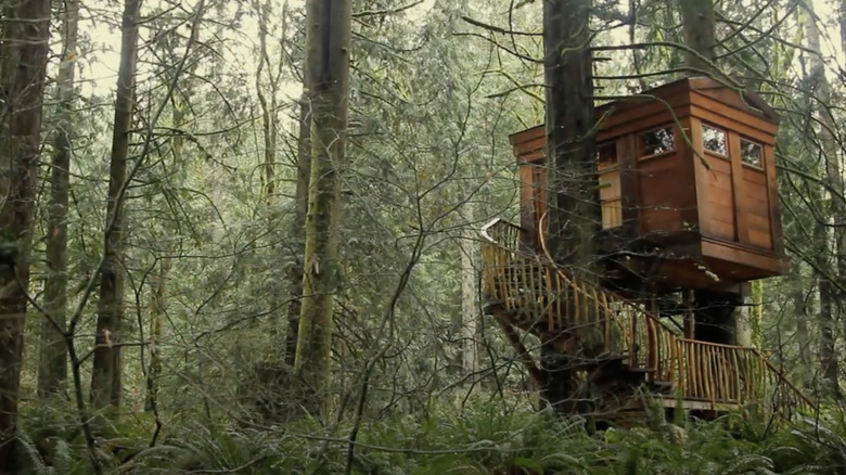 One of the treehouses at Treehouse Point