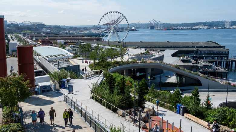 Pathways lined with greenery in Seattle's Waterfront Park