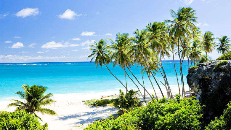 Palm trees and turquoise sea at Bottom Bay in Barbados