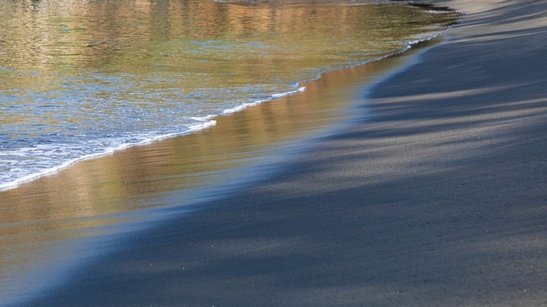 A wave washed up on the black sand shore of Mt. Wynne Beach