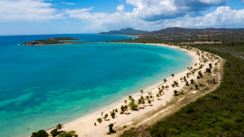 Aerial shot of white sand beach dotted with trees