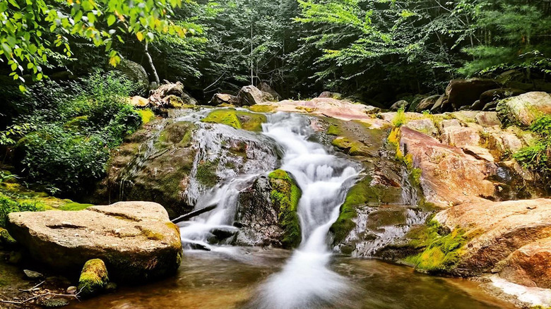 A small waterfall along the river on the Graves Mill Trail, Shenandoah National Park, Virginia