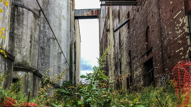 Silo City in Buffalo, New York