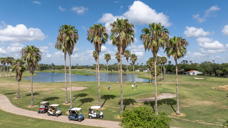 A caravan of golf carts in Rancho Viejo, Texas, parked beneath palm trees on a sunny day