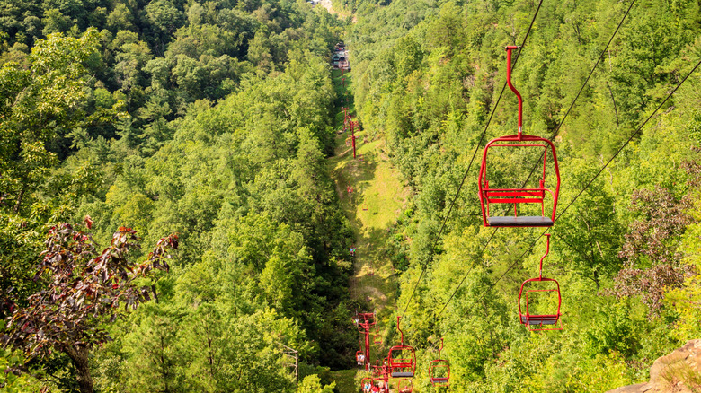 Landscape of the Skylift at Natural Bridge State Resort Park
