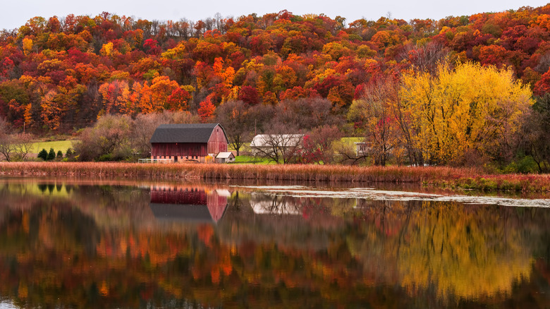 Red barn in front of a clear lake with autumn trees behind it in Minnesota.