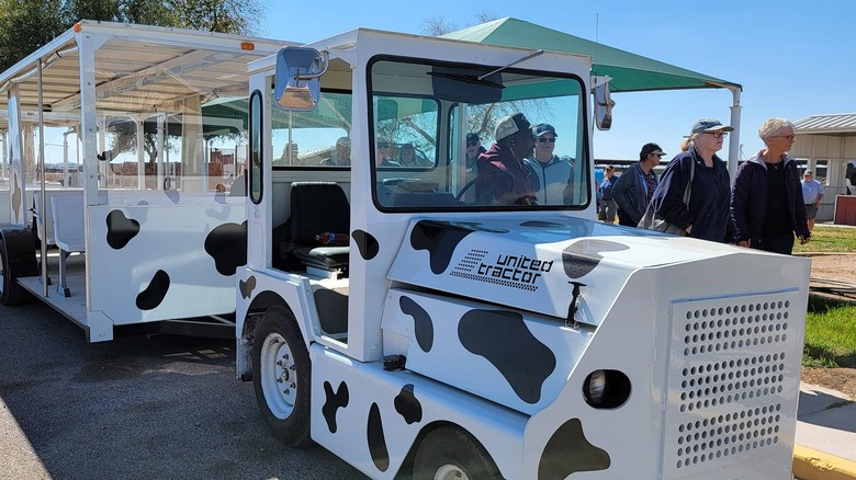 A tram painted like a cow