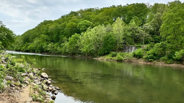 Roanoke River and trees in Altavista, Virginia
