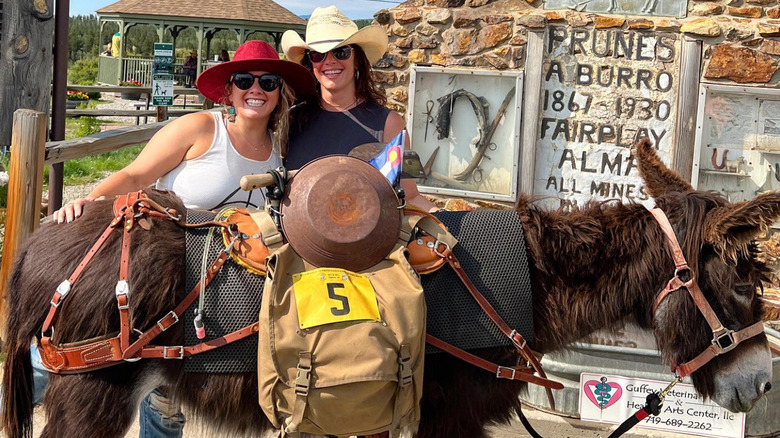 Festivalgoers at Fairplay's Burro Days