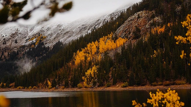 Jefferson Lake in Fairplay with fall foliage around it