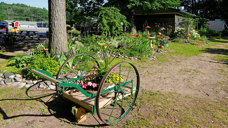 Garden and wheelbarrow at Connie's Café