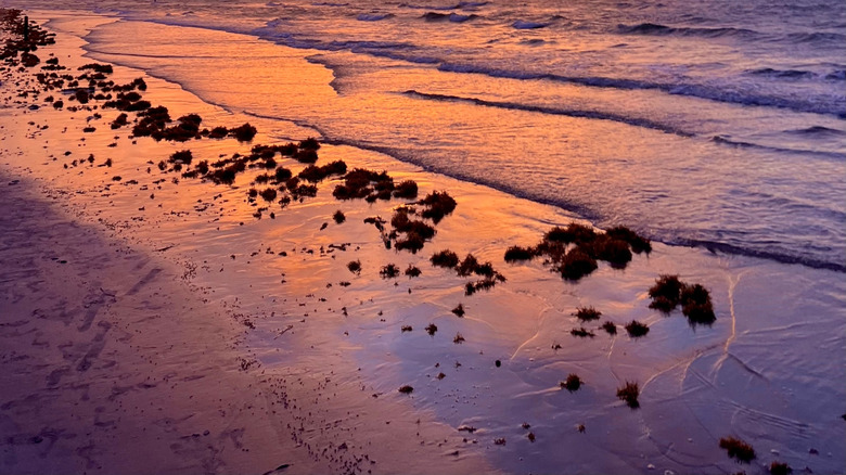 Sunrise over the Texas Gulf near Port Aransas