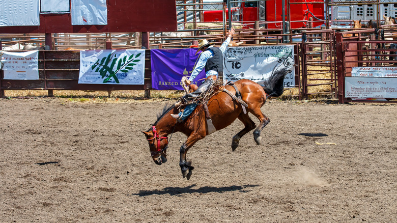 A cowboy rides in a rodeo show