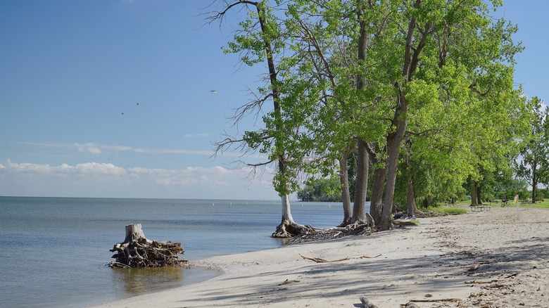 A beach in Sterling State Park sits empty