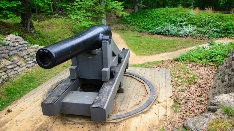 black cannon on top of wooden board in front of green bushes and green trees