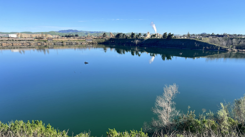 View of the water at Shadow Cliffs Regional Recreation Area.
