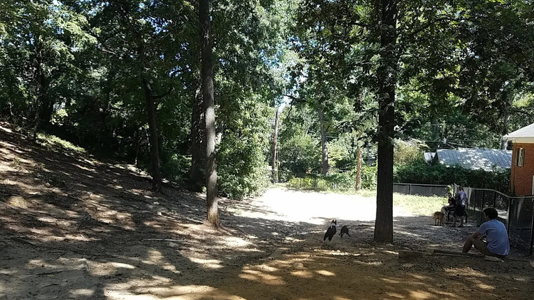 Emily Douglas Park in Columbia, South Carolina