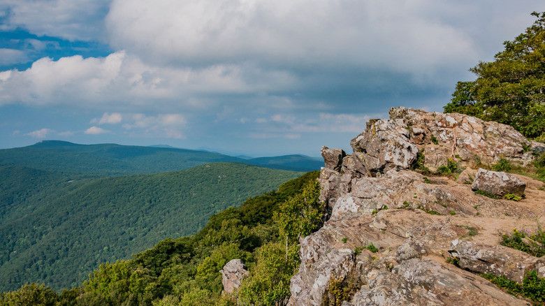 View from Hawksbill Summit, Shenandoah National Park, Virginia