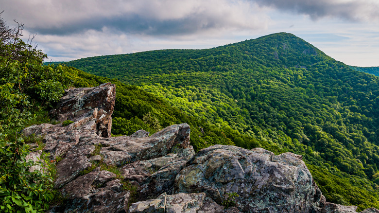 View of Hawksbill Mountain, taken From Little Stony Man Cliffs, Shenandoah National Park, Virginia