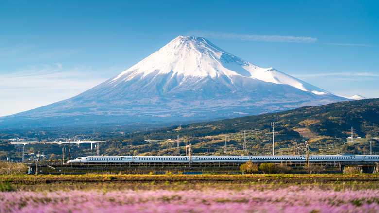 Shinkansen passing by Mt Fuji