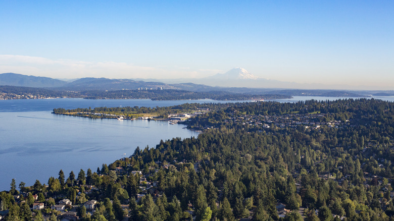 Arial view of Shoreline with Mt Rainier in the distance