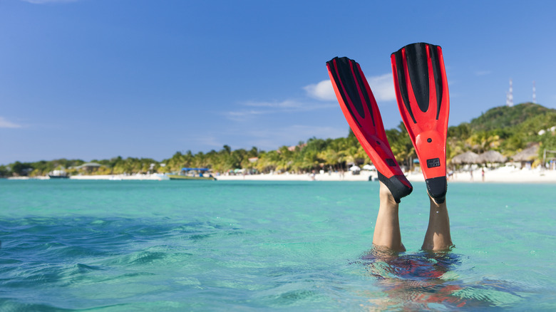 Snorkeling fins sticking out of the water