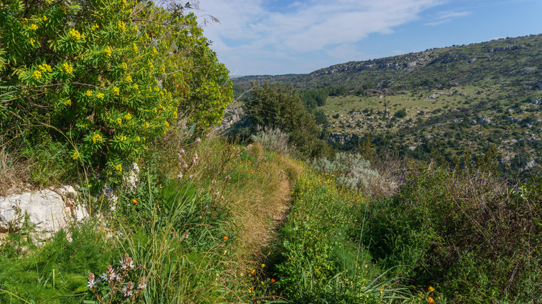 A walking path and verdant scenery in the Valle dell'Anapo in Sicily