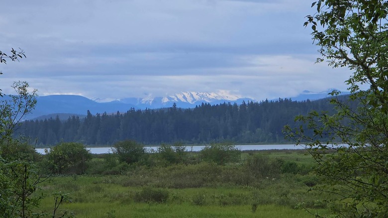 Shot of snow-capped mountains behind Silver Lake in Washington State, green grass in foreground, pines in the background