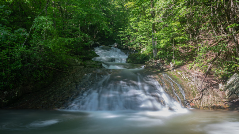 Early morning at Eagle Rock's Roaring Run waterfall