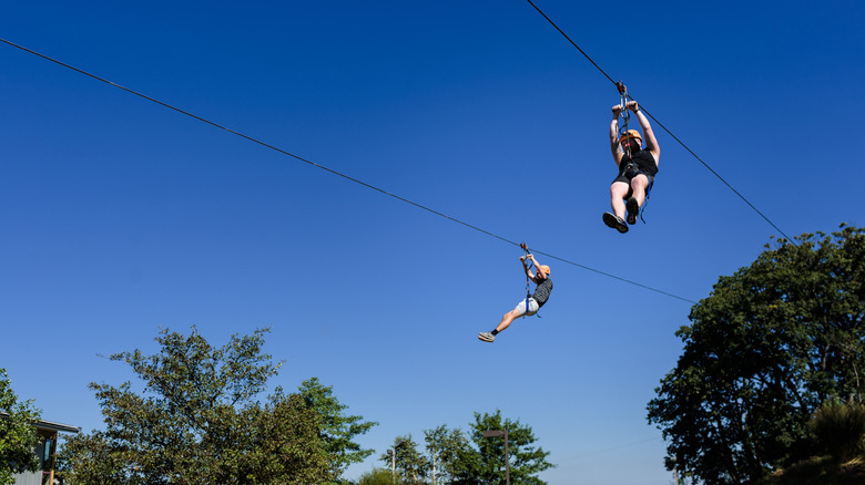Two people on zip lines above trees