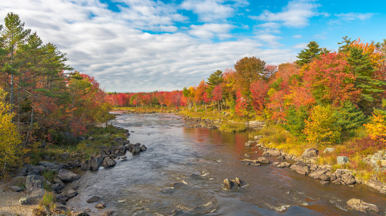 Fall foliage and river in Ellsworth, Maine