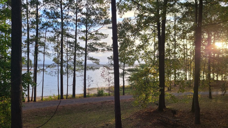 Hiking trails at Wind Creek State Park, Alabama, snaking through wooded areas with views of Lake Martin