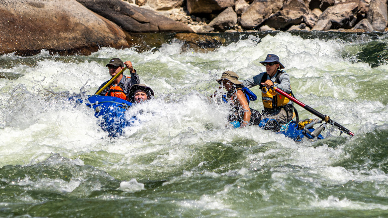 Whitewater rafting on the Salmon River in the Frank Church Wilderness