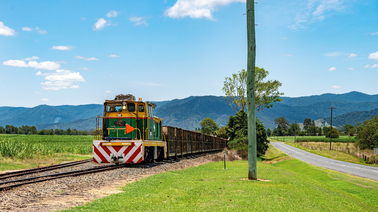 A cane train carrying sugar in Mackay