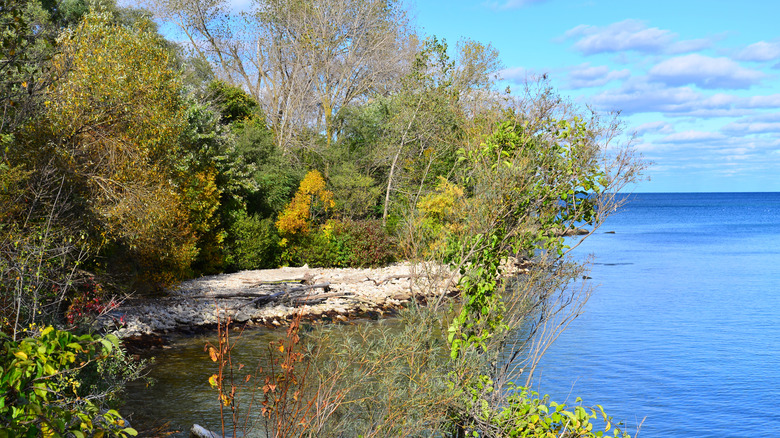 Lake Michigan by the Kenosha shoreline at the Sand Dune Preserve