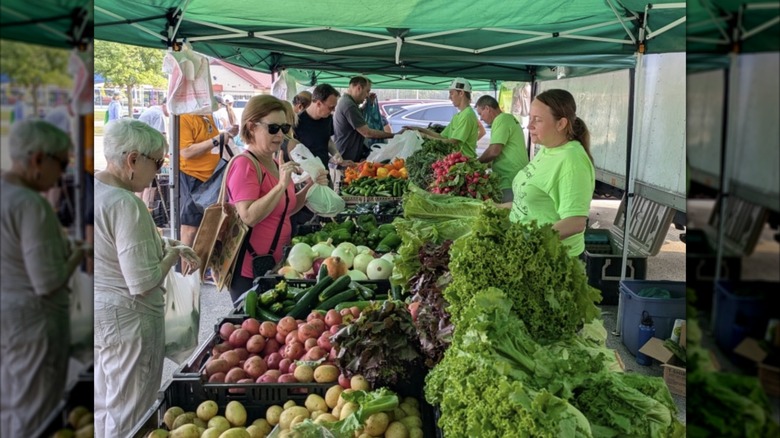 Women shopping for fresh produce at Buffalo Grove farmers' market
