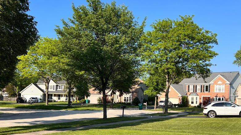 Residential neighborhood in Buffalo Grove, Illinois