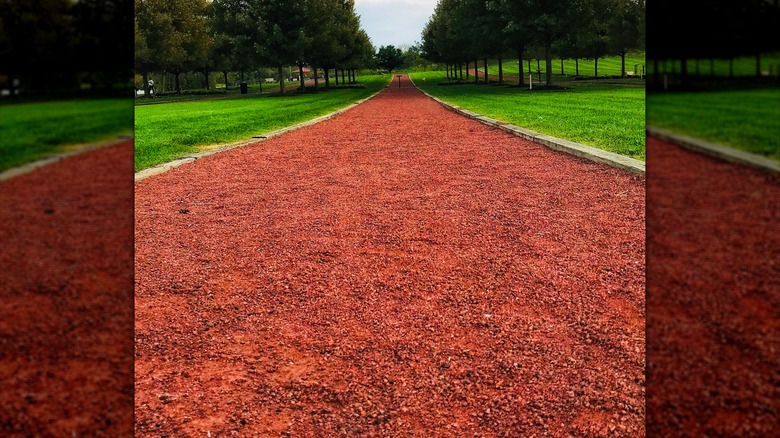 Trail in Munster, Indiana