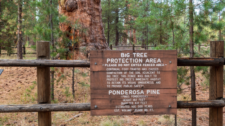 An informational sign about LaPine State Park's