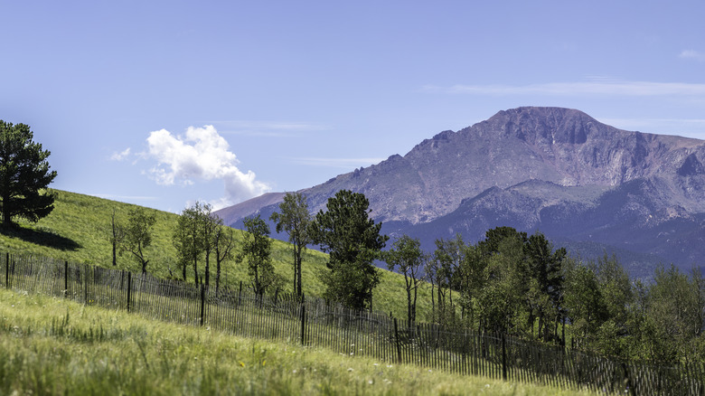 A view of mountais in the background on an open mountain with only a few trees to block the view