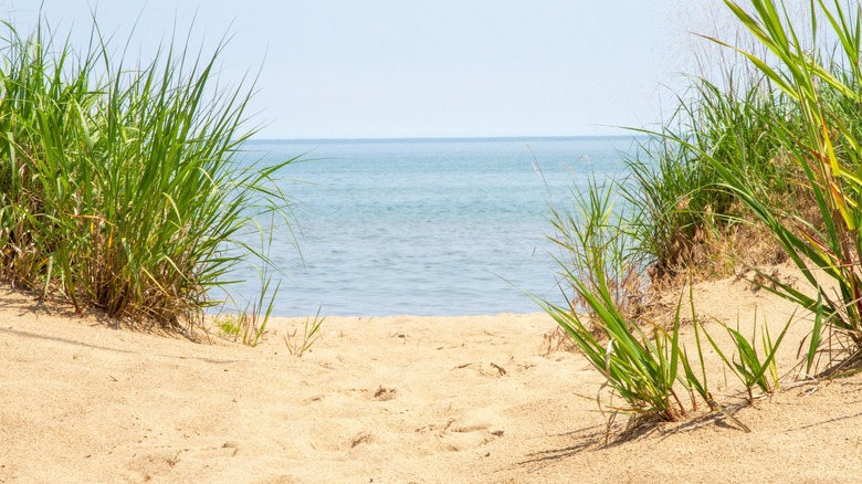 Sandy beach on Lake Erie
