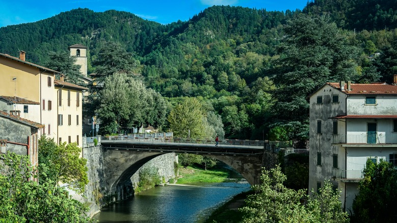 Little stone bridge over a tranquil river in Marradi, surrounded by lush greenery and picturesque houses